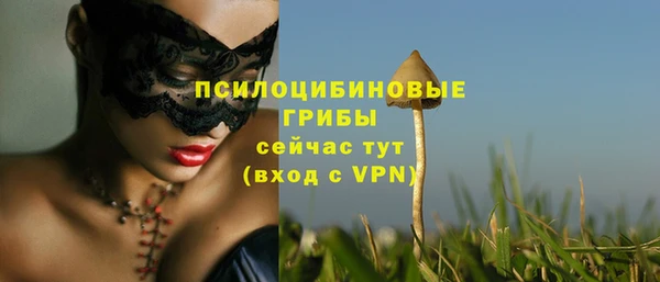 MDMA Premium VHQ Инсар