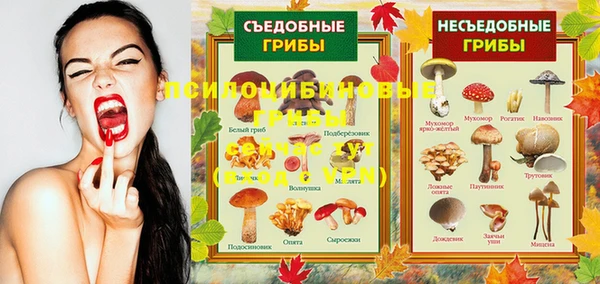 кристаллы Инта