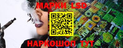 альфа пвп Новодвинск
