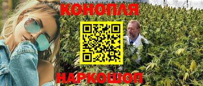 Альфа ПВП Новокубанск