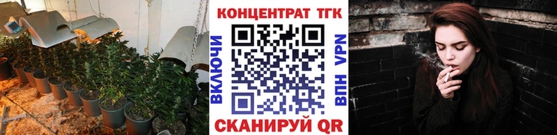 где купить   Спасск-Дальний  ТГК концентрат 