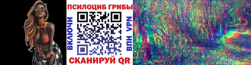 где найти наркотики  Спасск-Дальний  Галлюциногенные грибы ЛСД 